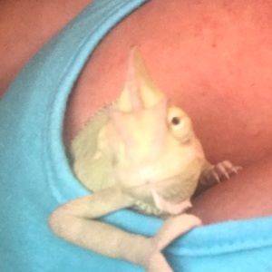 Meet your Posher, Angela